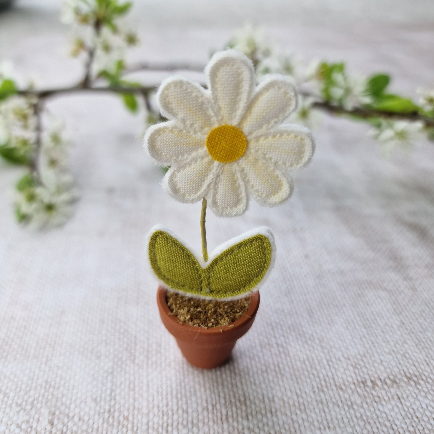 Daisy Flowerpots