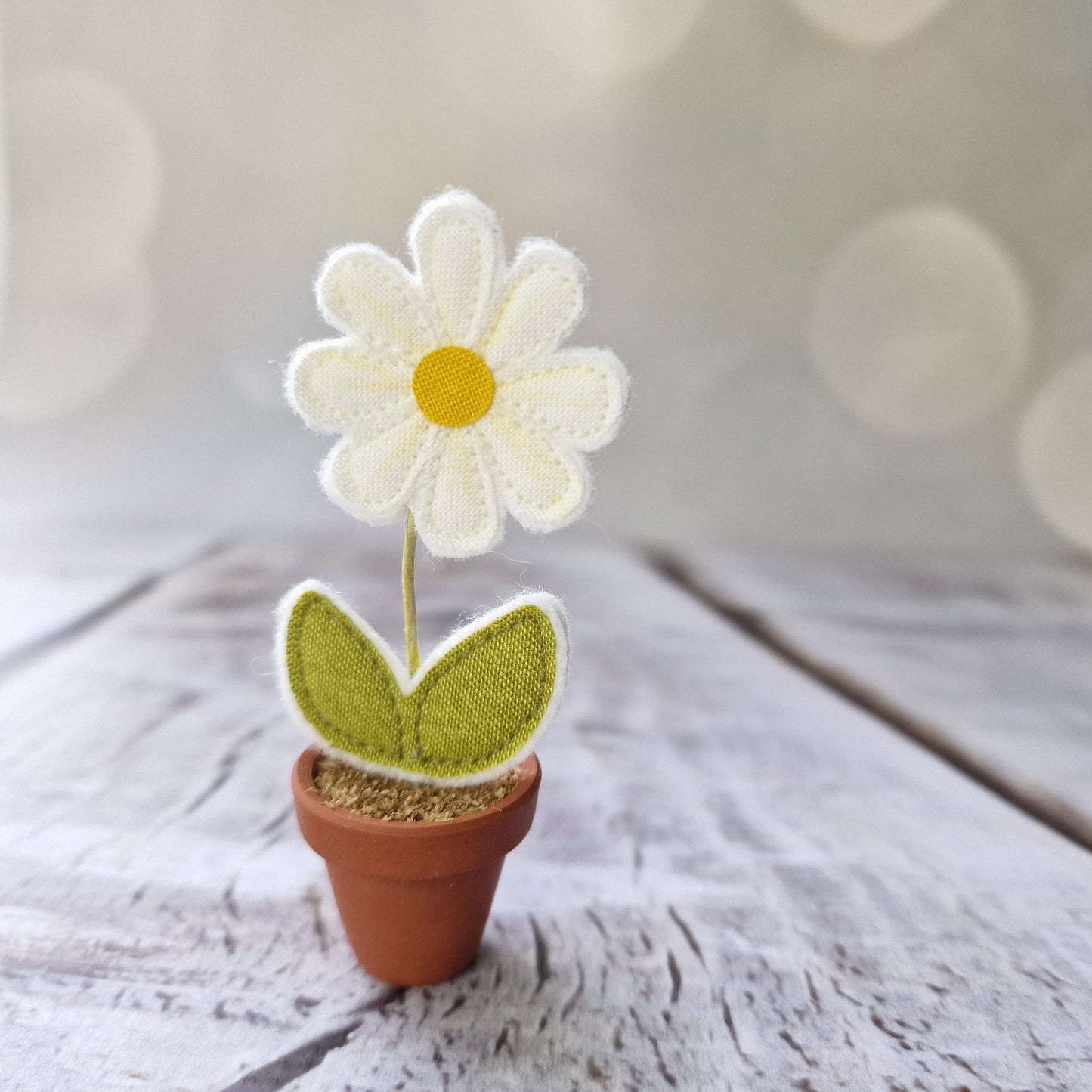 Daisy Flowerpots