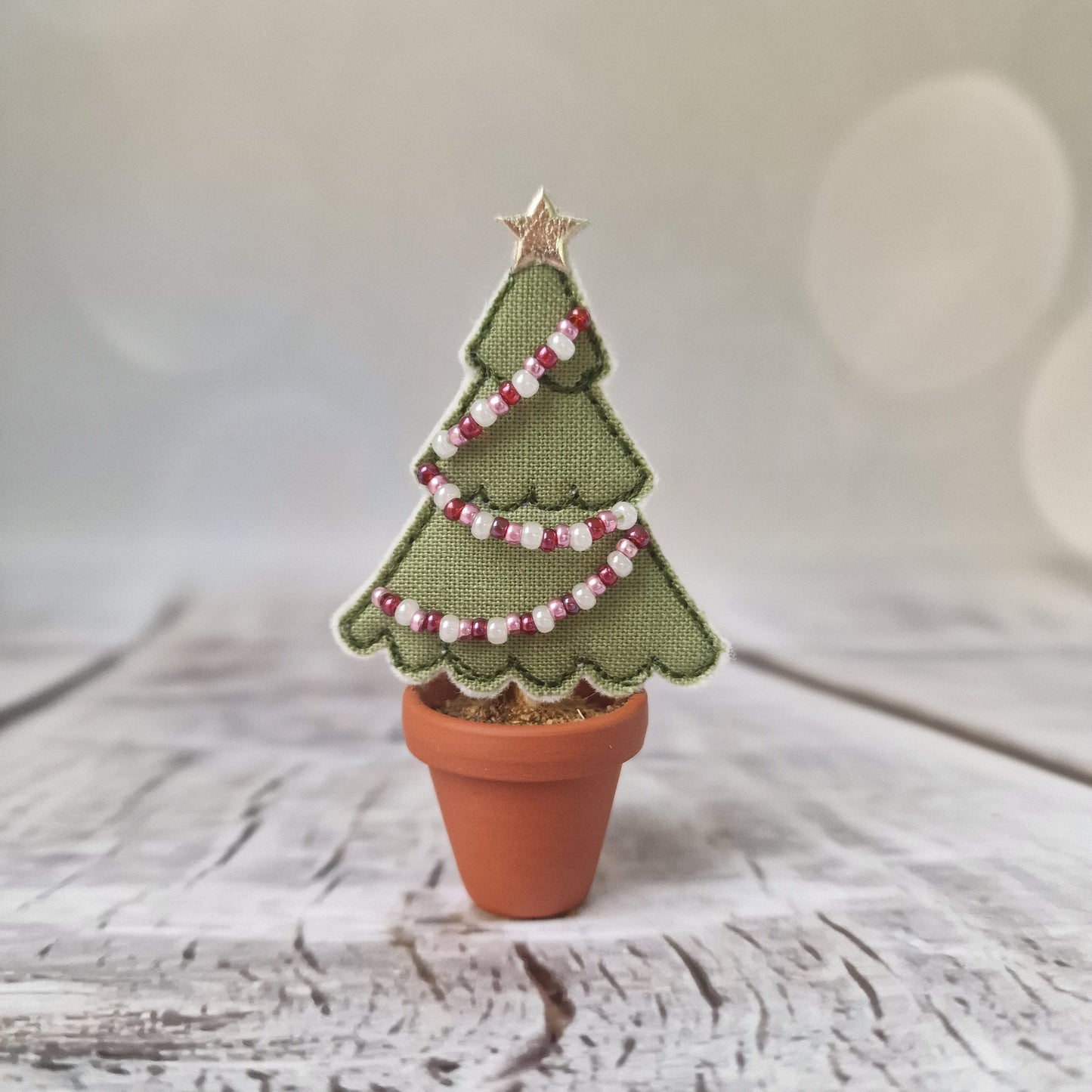 Mini Potted Trees - Two For £34