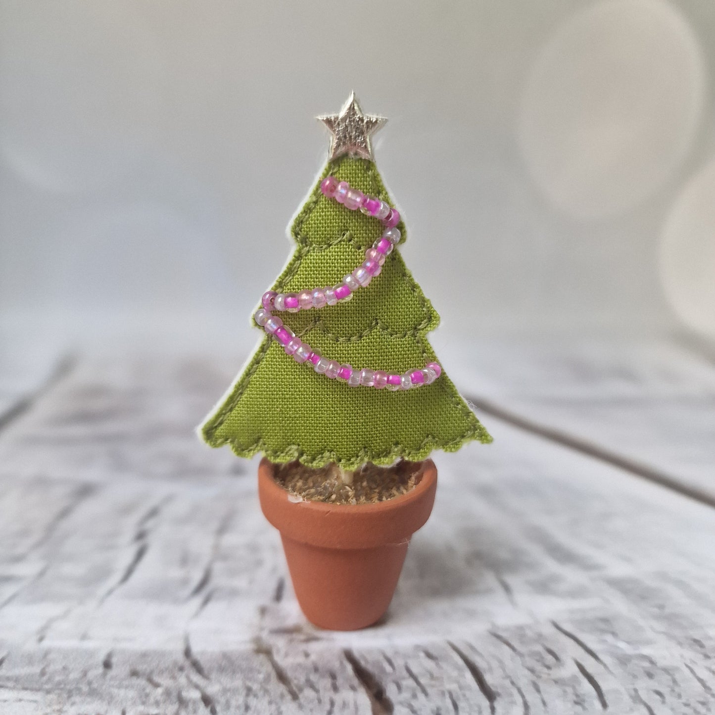 Mini Potted Trees - Two For £34