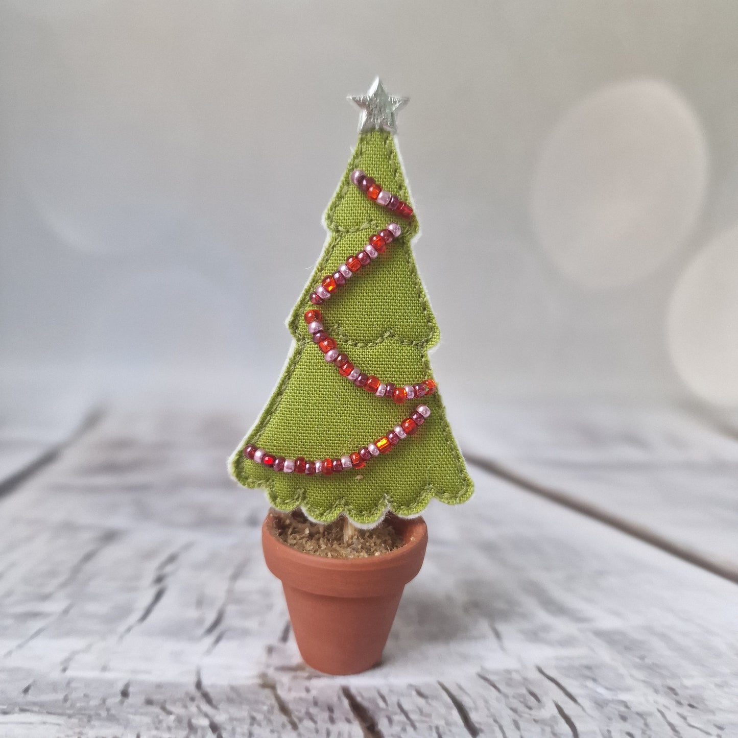 Mini Potted Trees - Two For £34